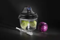 سبزی خرد کن کارا الکتریک مدل SC2