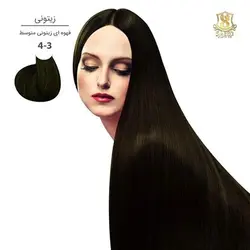 قیمت و خرید رنگ مو مارال 4/3