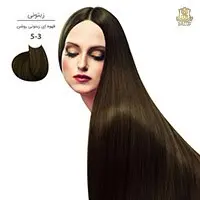 قیمت و خرید رنگ مو مارال 5/3