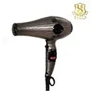 سشوار حرفه ای سالنی پرومارون 8804