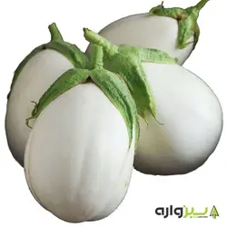 بذر بادمجان دلمه ای سفید