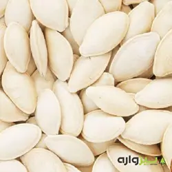 بذر کدو آجیلی