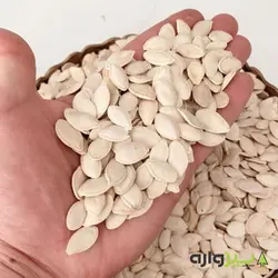 بذر کدو آجیلی گوشتی