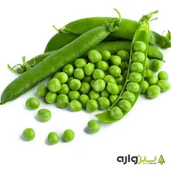 بذر نخود فرنگی