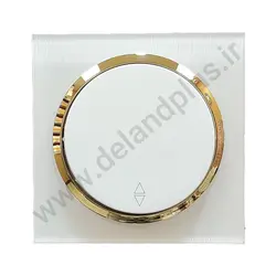 کلید تبدیل مدل آوا پلکسی سفید زه طلایی