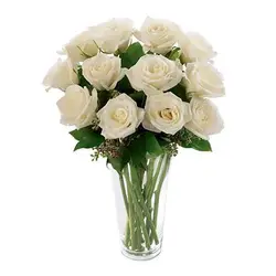 بذر گل رز سفید