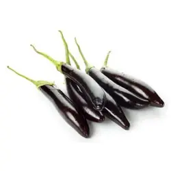 بذر بادمجان قلمی