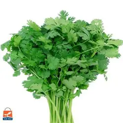 بذر گشنیز محلی