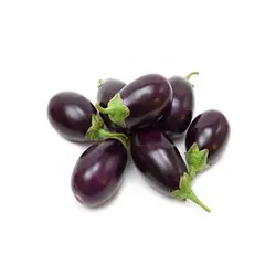 بذر بادمجان هیبرید راوایا