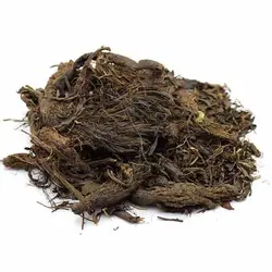 بذر سنبل الطیب