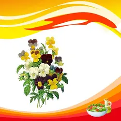 بذر گل بنفشه خوراکی