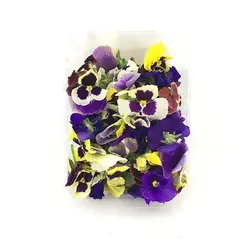 بذر گل بنفشه خوراکی