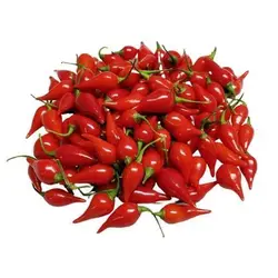 بذر فلفل بیکیونهو قرمز