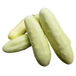 بذر خیار سفید معطر