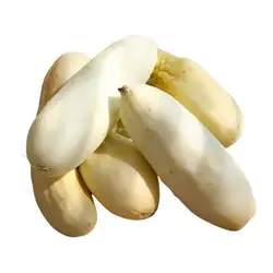 بذر خیار سفید معطر