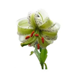 بذر گل لیلیوم چلچراغ