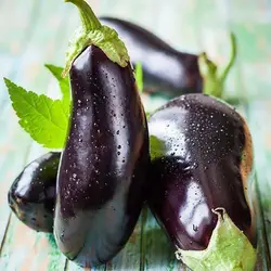 بذر بادمجان سیاه زیبا