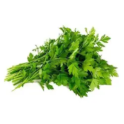 بذر جعفری ایتالیایی