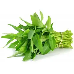 بذر اسفناج آبی برگ بامبو