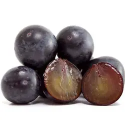 بذر انگور ژاپنی کیوهو