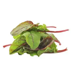 بذر سبزیجات بیبی میکس