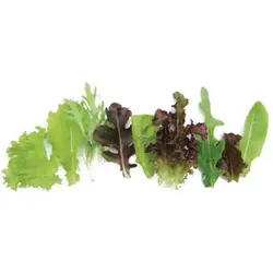 بذر سبزیجات بیبی میکس