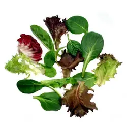 بذر سبزیجات بیبی میکس