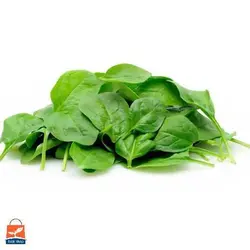 بذر اسفناج شاهرودی