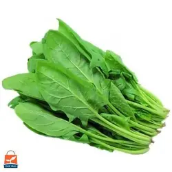 بذر اسفناج شاهرودی