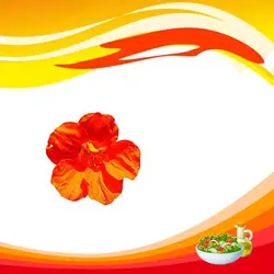 بذر گل لادن خوراکی
