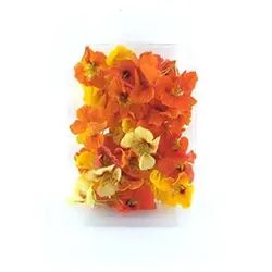 بذر گل لادن خوراکی