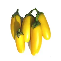 بذر بادمجان قلمی زرد
