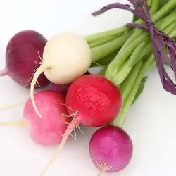 بذر تربچه میکس 7 رنگ