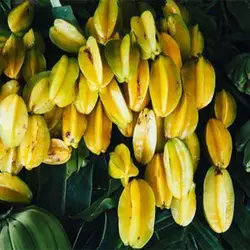بذر درخت استار فروت