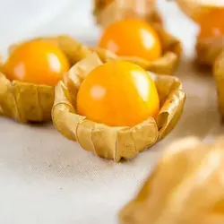 بذر فیسالیس غول هندی