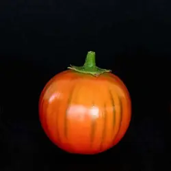 بذر بادمجان قرمز ترکی