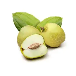 بذر کنار هندی گرد