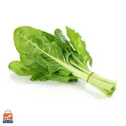 بذر برگ چغندر سفید