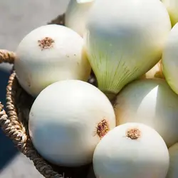 بذر پیاز سفید شیرین اسپانیایی