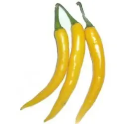 بذر فلفل قلمی بلند زرد