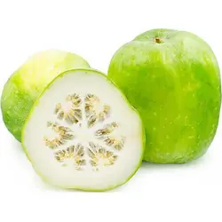 بذر کدو واکسی