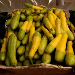 بذر کدو دو رنگ