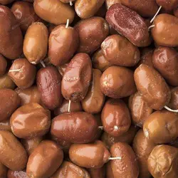 بذر درخت سنجد