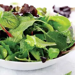 بذر سبزی سالادی میکس