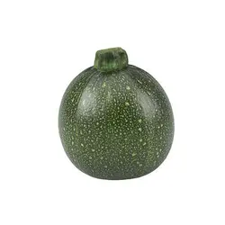 بذر کدو توپی سبز تیره