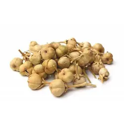 بذر اسپند