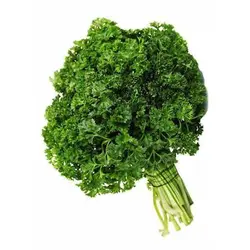 بذر جعفری پیچ