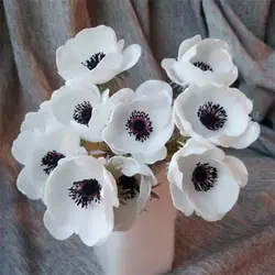 بذر گل شقایق نعمانی