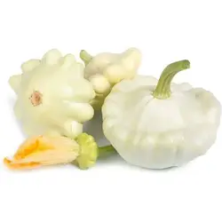 بذر کدو ستاره ای سفید