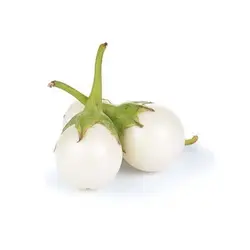 بذر بادمجان سفید سولانیوم